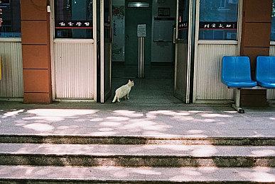 外媒称微软将在下周五完成对动视暴雪的收购